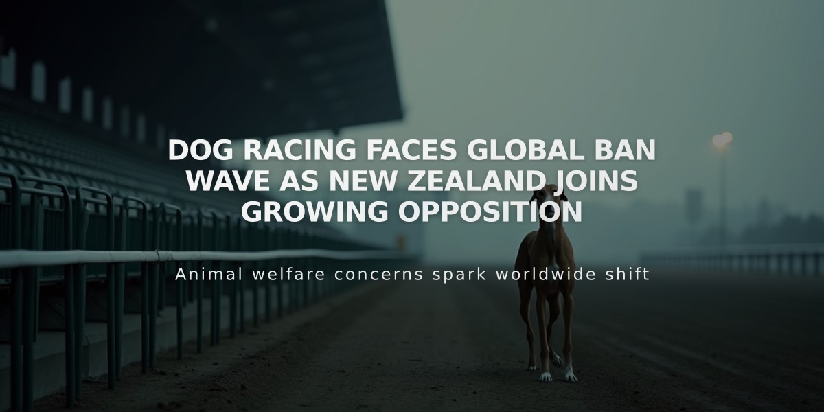 Dog Racing Faces Global Ban Wave as New Zealand Joins Growing Opposition