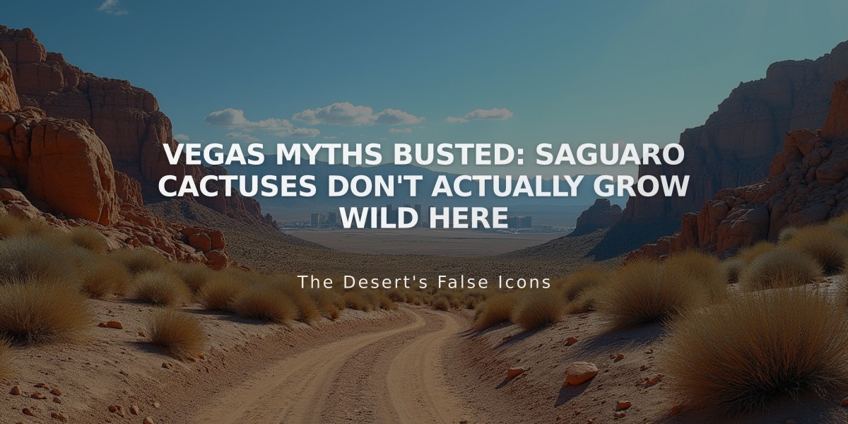 VEGAS MYTHS BUSTED: Saguaro Cactuses Don't Actually Grow Wild Here